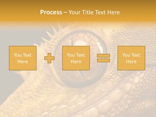 New Caledonian Crested Gecko Reptile Ciliatus PowerPoint Template