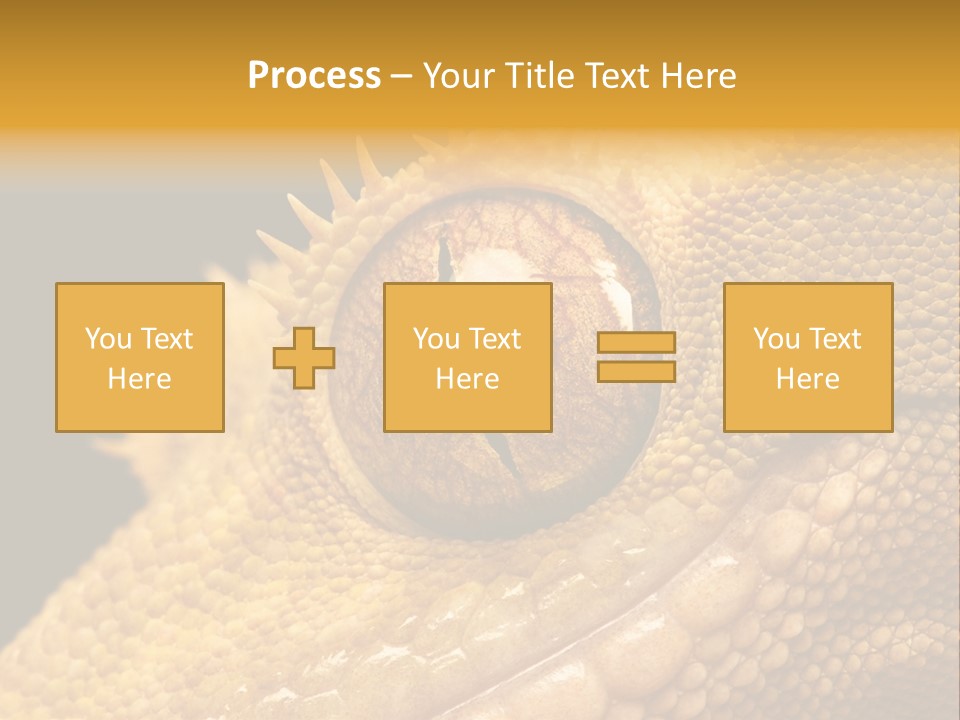 New Caledonian Crested Gecko Reptile Ciliatus PowerPoint Template