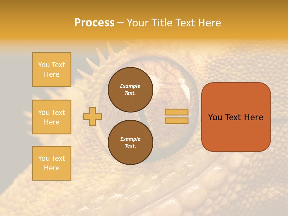 New Caledonian Crested Gecko Reptile Ciliatus PowerPoint Template