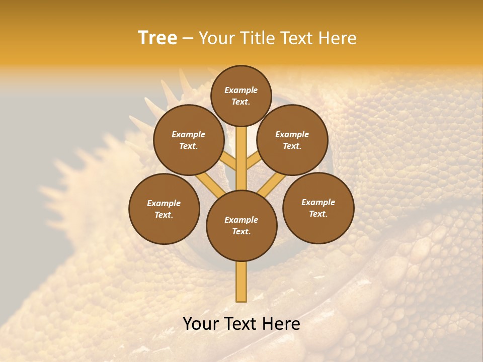 New Caledonian Crested Gecko Reptile Ciliatus PowerPoint Template