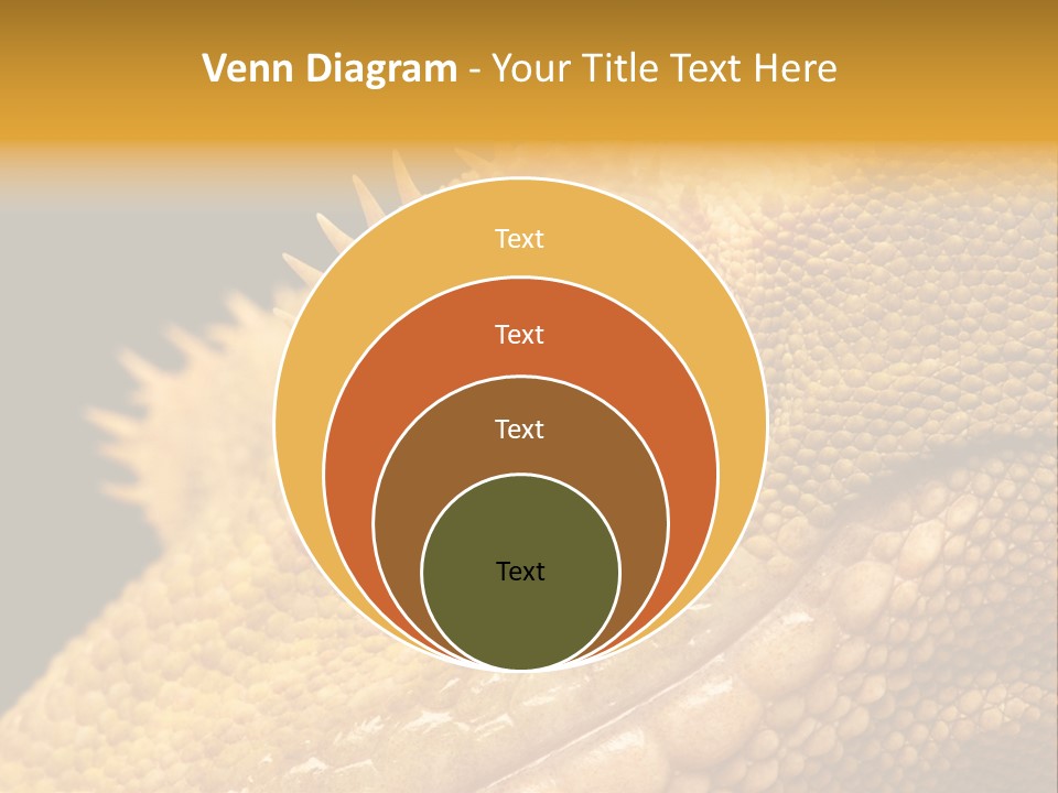 New Caledonian Crested Gecko Reptile Ciliatus PowerPoint Template