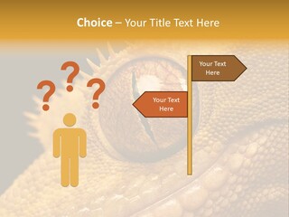 New Caledonian Crested Gecko Reptile Ciliatus PowerPoint Template