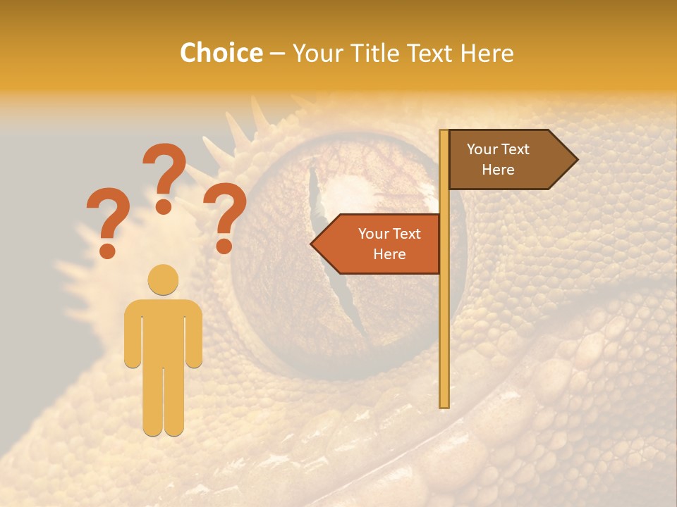 New Caledonian Crested Gecko Reptile Ciliatus PowerPoint Template