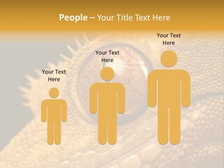 New Caledonian Crested Gecko Reptile Ciliatus PowerPoint Template