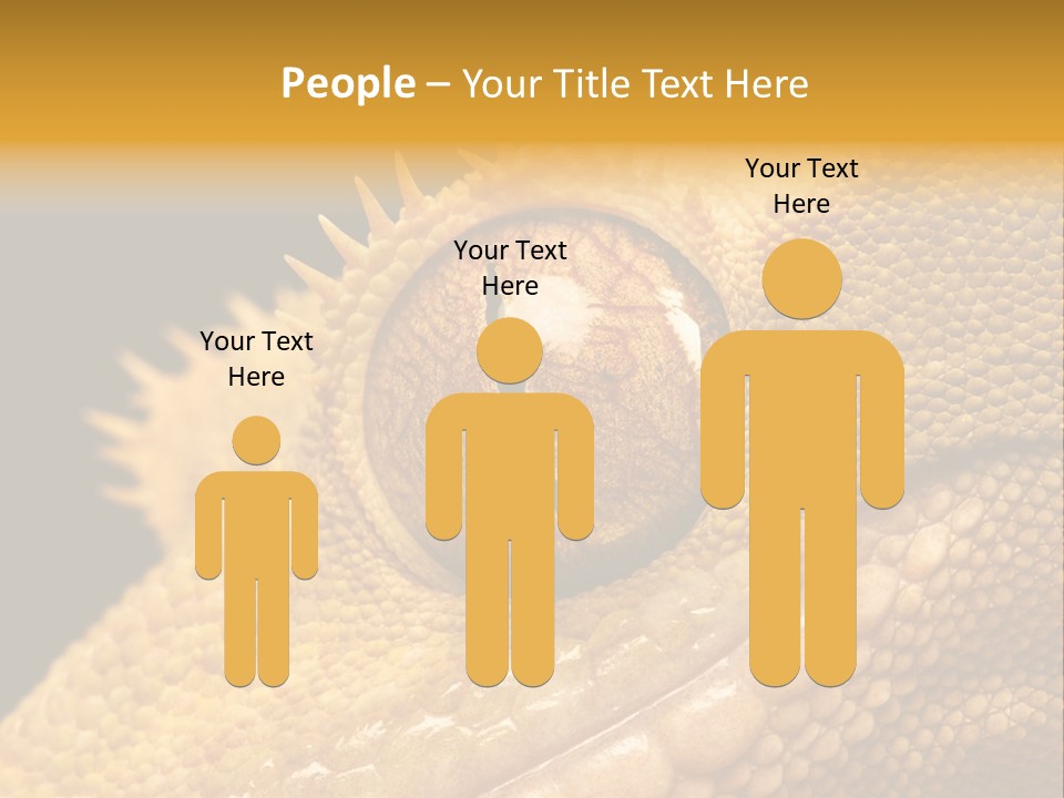 New Caledonian Crested Gecko Reptile Ciliatus PowerPoint Template