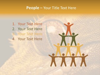 New Caledonian Crested Gecko Reptile Ciliatus PowerPoint Template