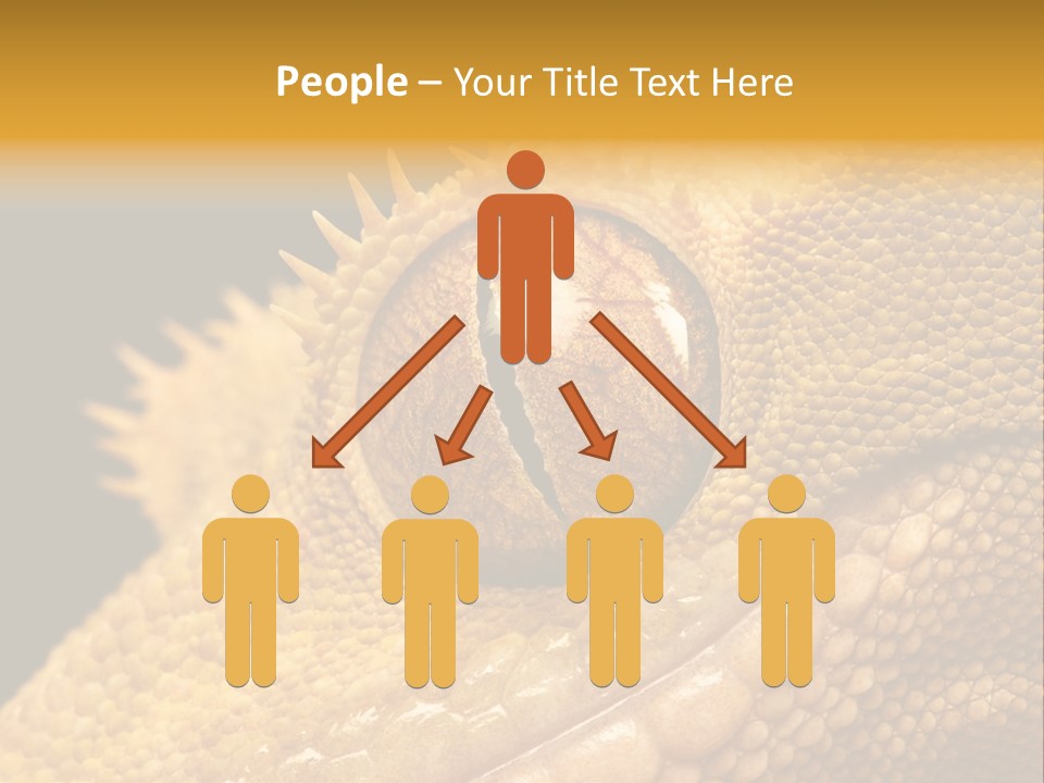 New Caledonian Crested Gecko Reptile Ciliatus PowerPoint Template