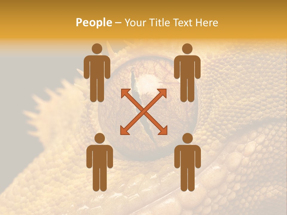 New Caledonian Crested Gecko Reptile Ciliatus PowerPoint Template