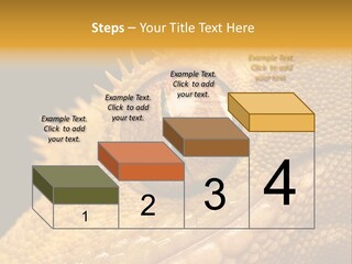 New Caledonian Crested Gecko Reptile Ciliatus PowerPoint Template