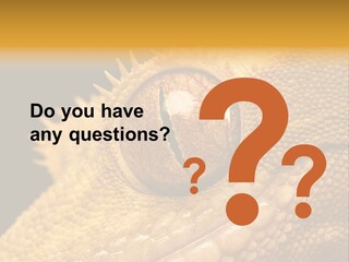 New Caledonian Crested Gecko Reptile Ciliatus PowerPoint Template