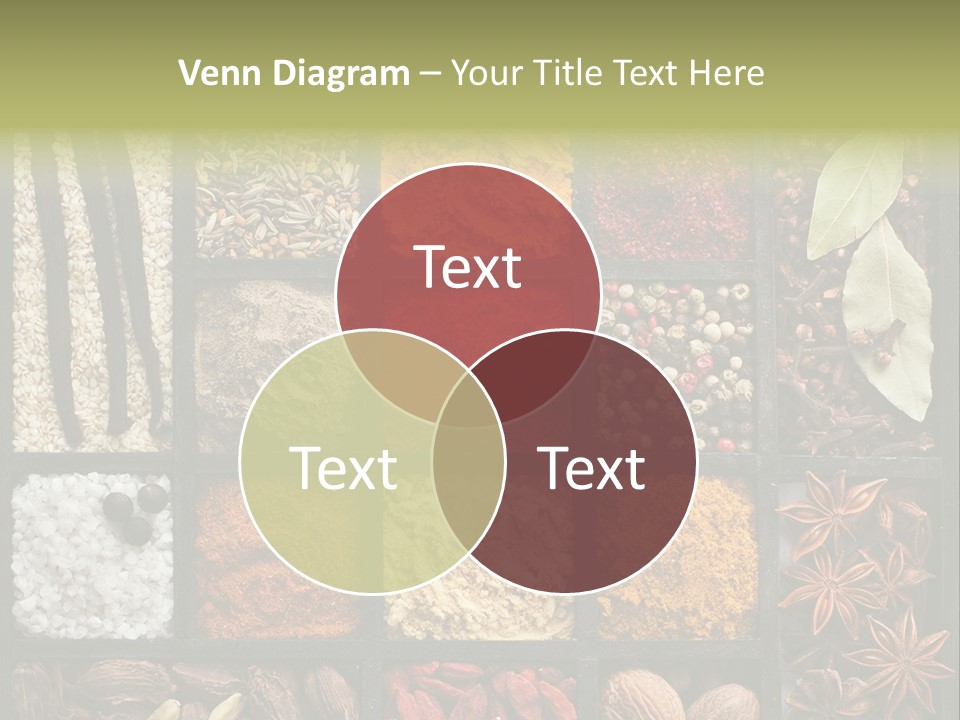 Colorful White Sumac PowerPoint Template