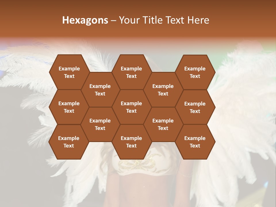 Victoria's Secret Fashion Show Accessories Anja Rubik PowerPoint Template