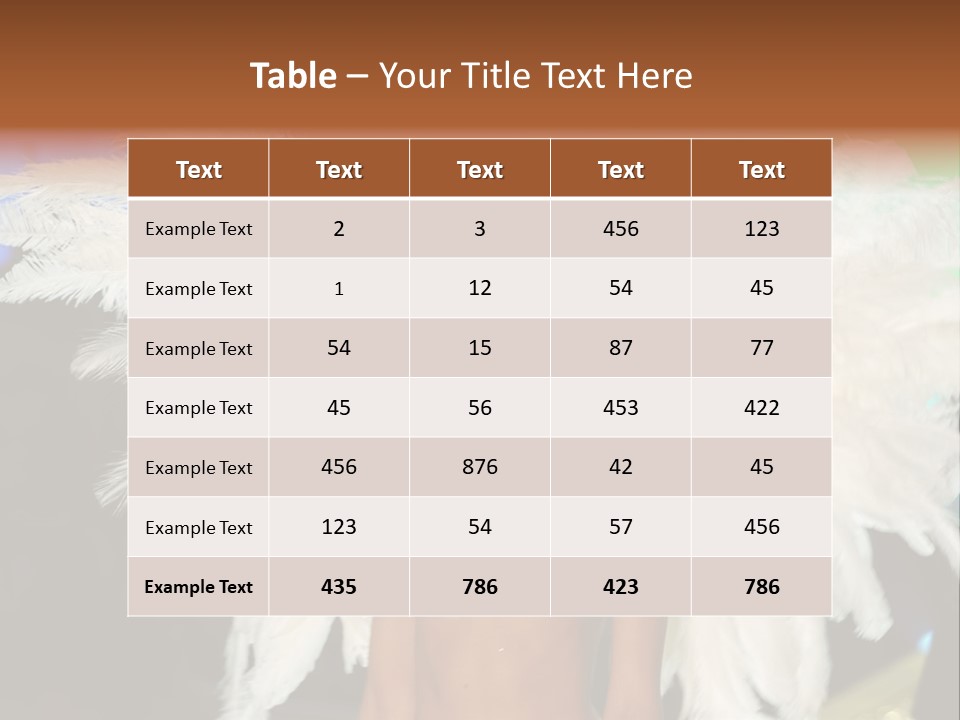 Victoria's Secret Fashion Show Accessories Anja Rubik PowerPoint Template