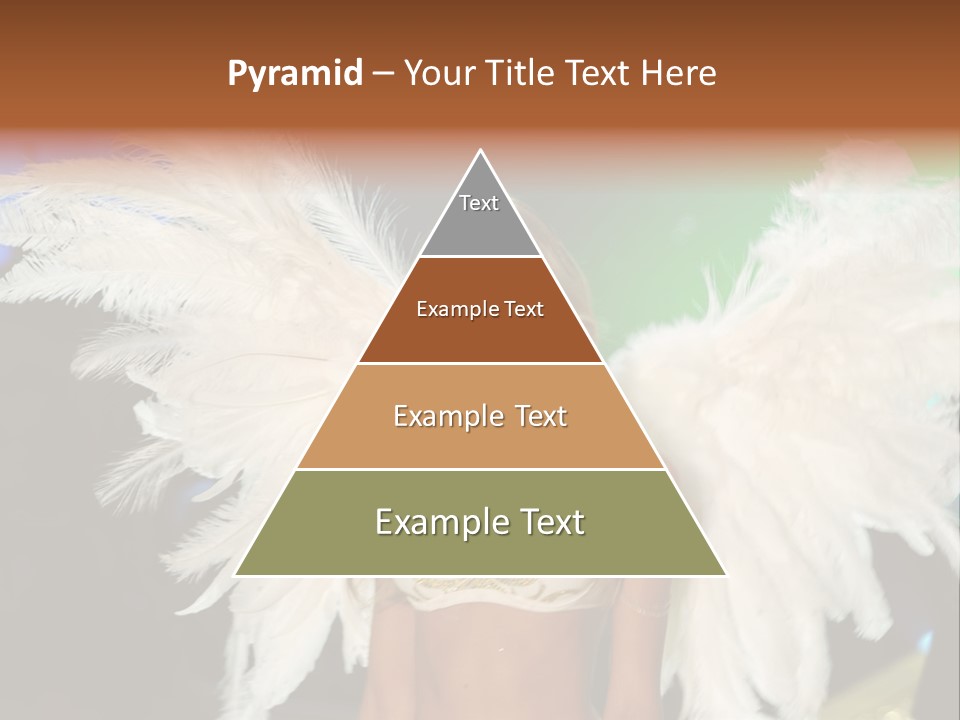 Victoria's Secret Fashion Show Accessories Anja Rubik PowerPoint Template