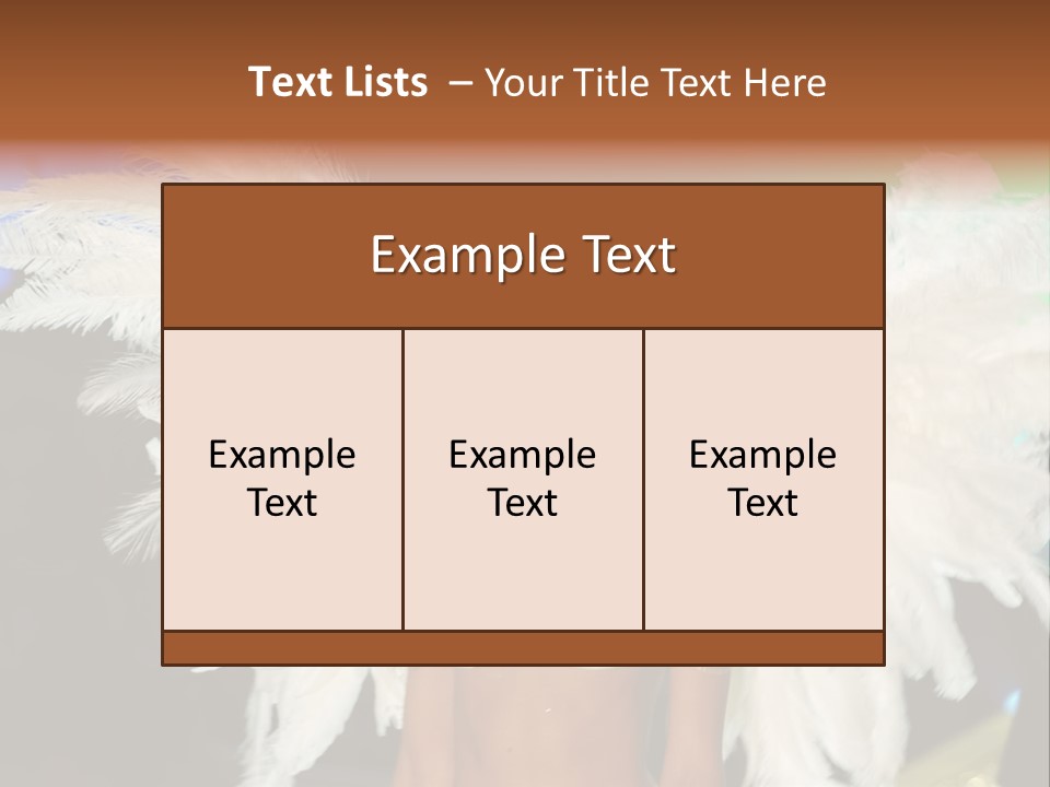Victoria's Secret Fashion Show Accessories Anja Rubik PowerPoint Template