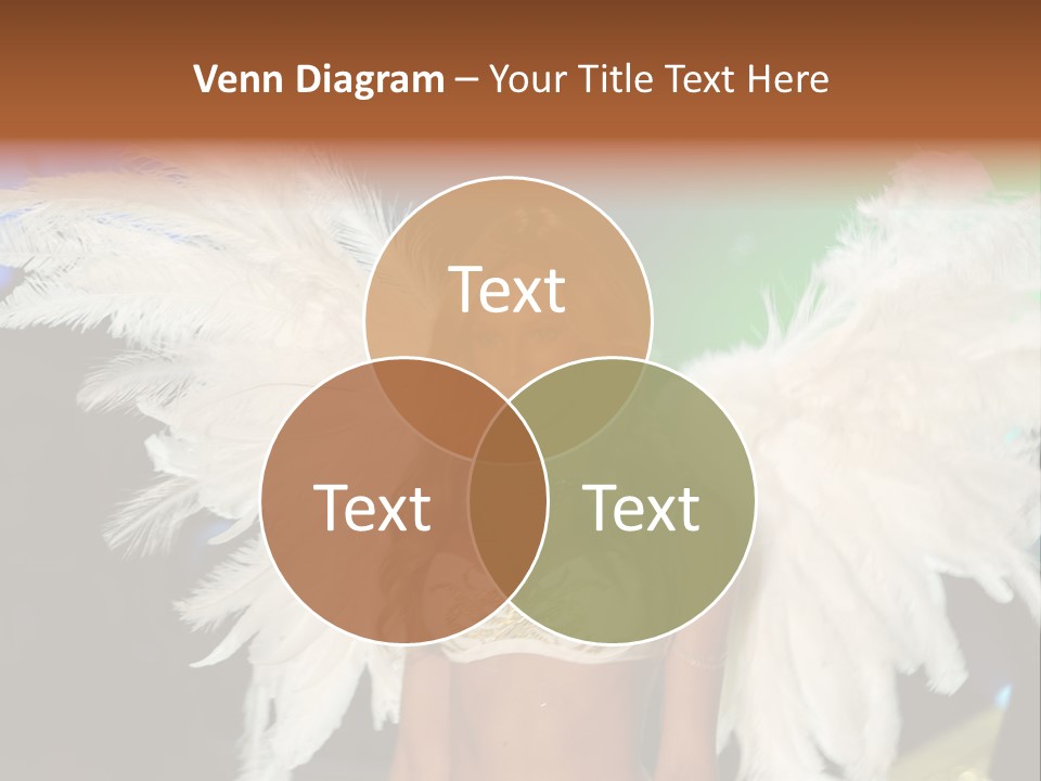 Victoria's Secret Fashion Show Accessories Anja Rubik PowerPoint Template