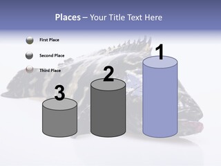 Sale Sell Gill PowerPoint Template