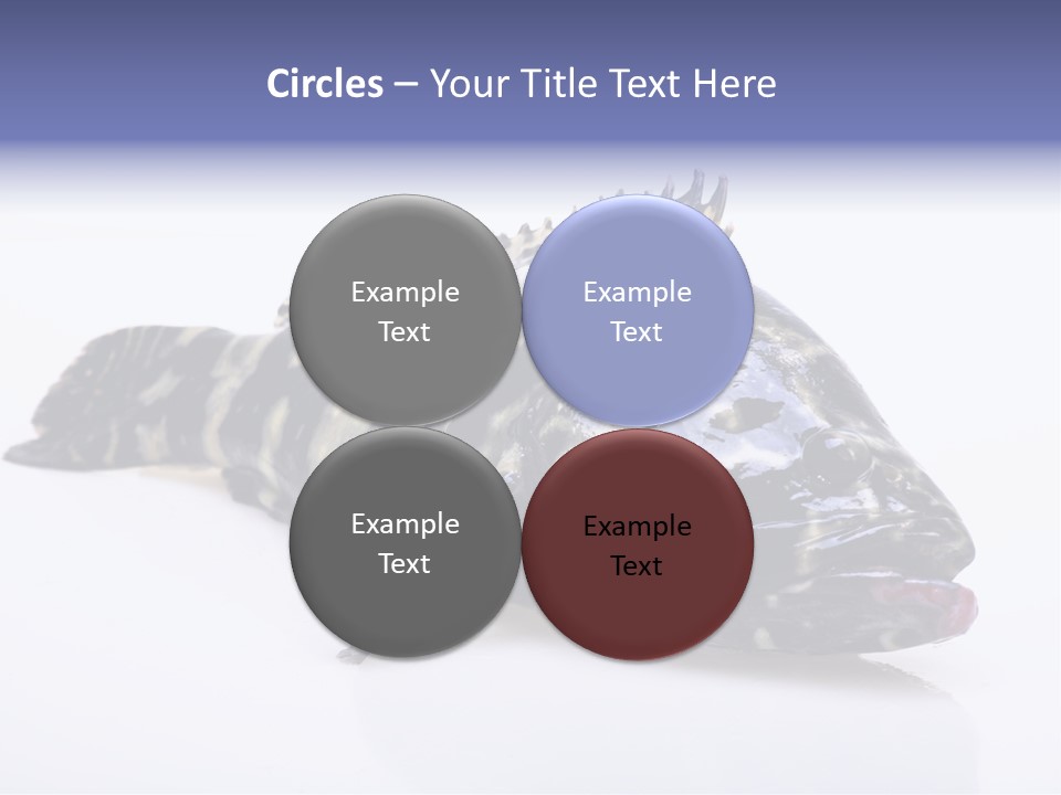 Sale Sell Gill PowerPoint Template