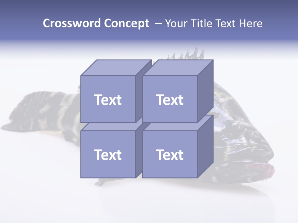 Sale Sell Gill PowerPoint Template