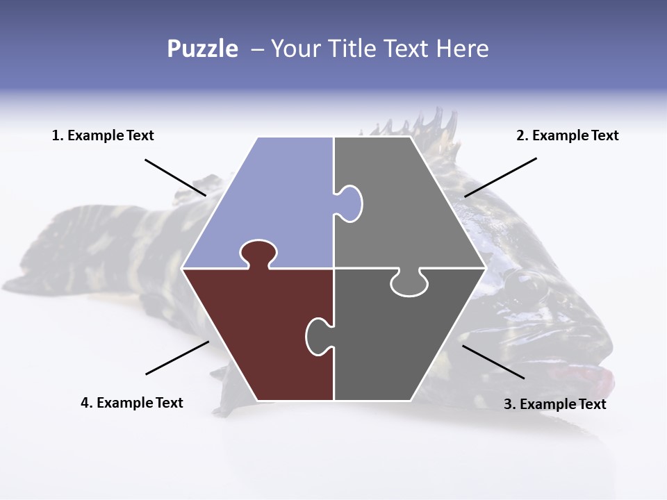 Sale Sell Gill PowerPoint Template