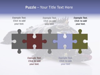 Sale Sell Gill PowerPoint Template