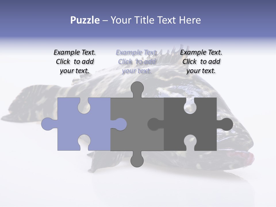 Sale Sell Gill PowerPoint Template
