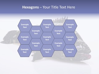 Sale Sell Gill PowerPoint Template