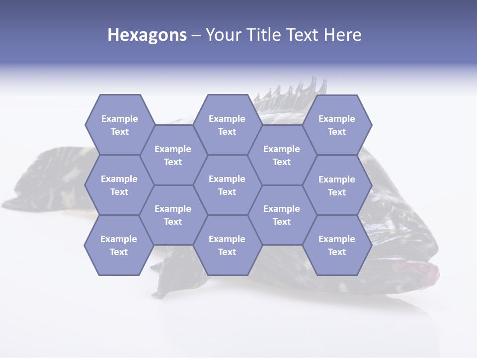 Sale Sell Gill PowerPoint Template