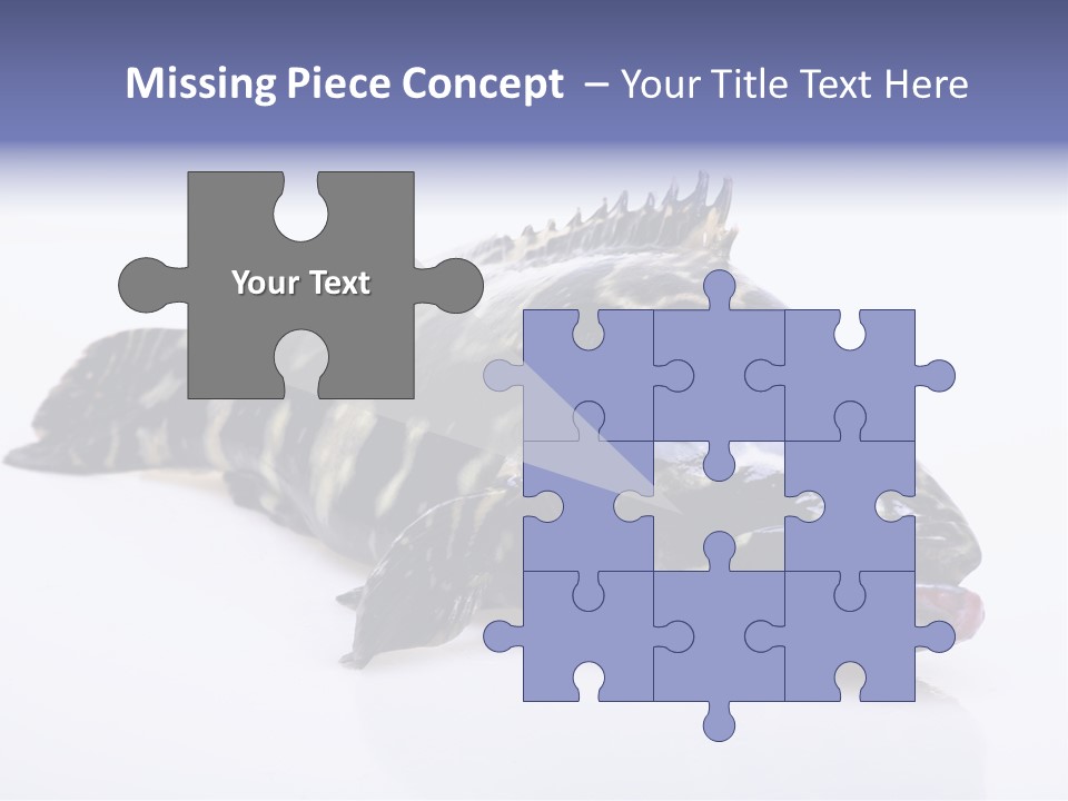 Sale Sell Gill PowerPoint Template