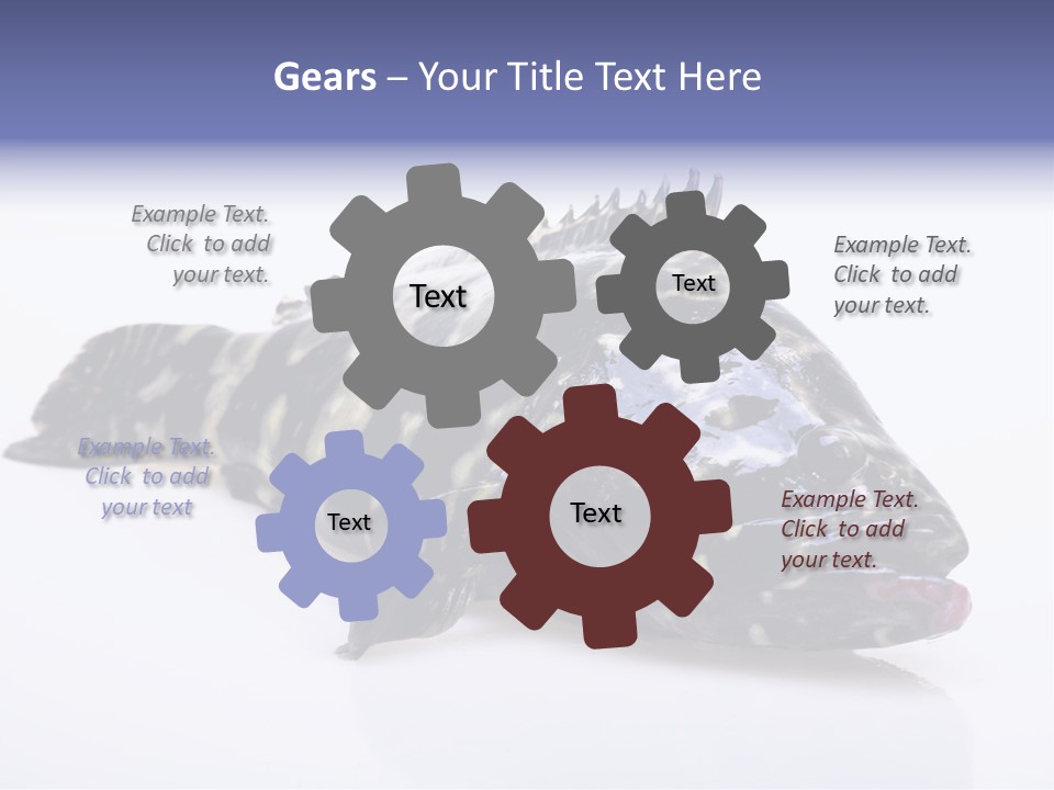 Sale Sell Gill PowerPoint Template