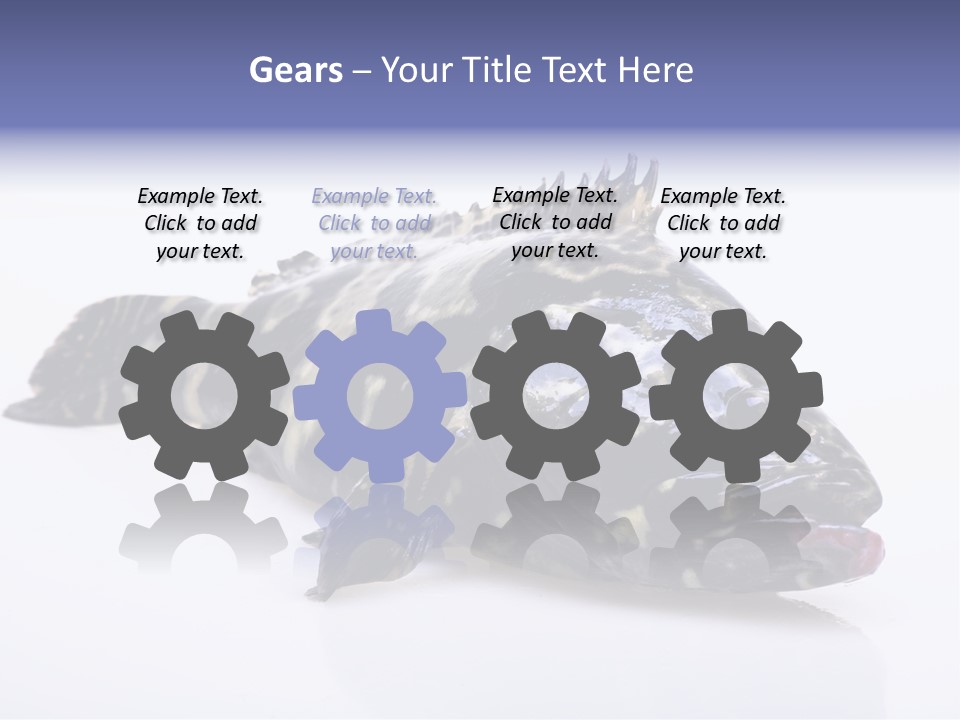 Sale Sell Gill PowerPoint Template