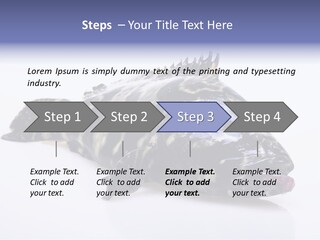Sale Sell Gill PowerPoint Template