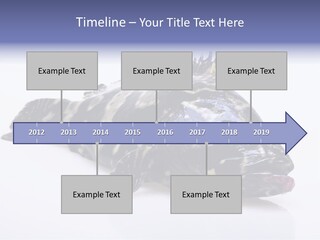 Sale Sell Gill PowerPoint Template