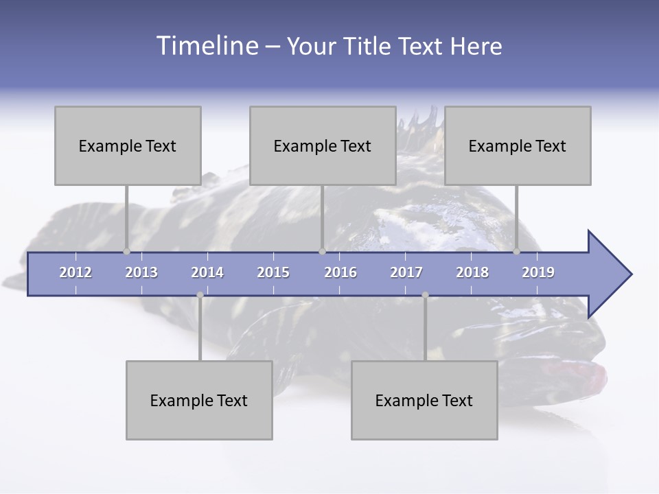 Sale Sell Gill PowerPoint Template