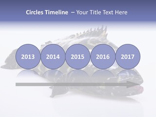 Sale Sell Gill PowerPoint Template