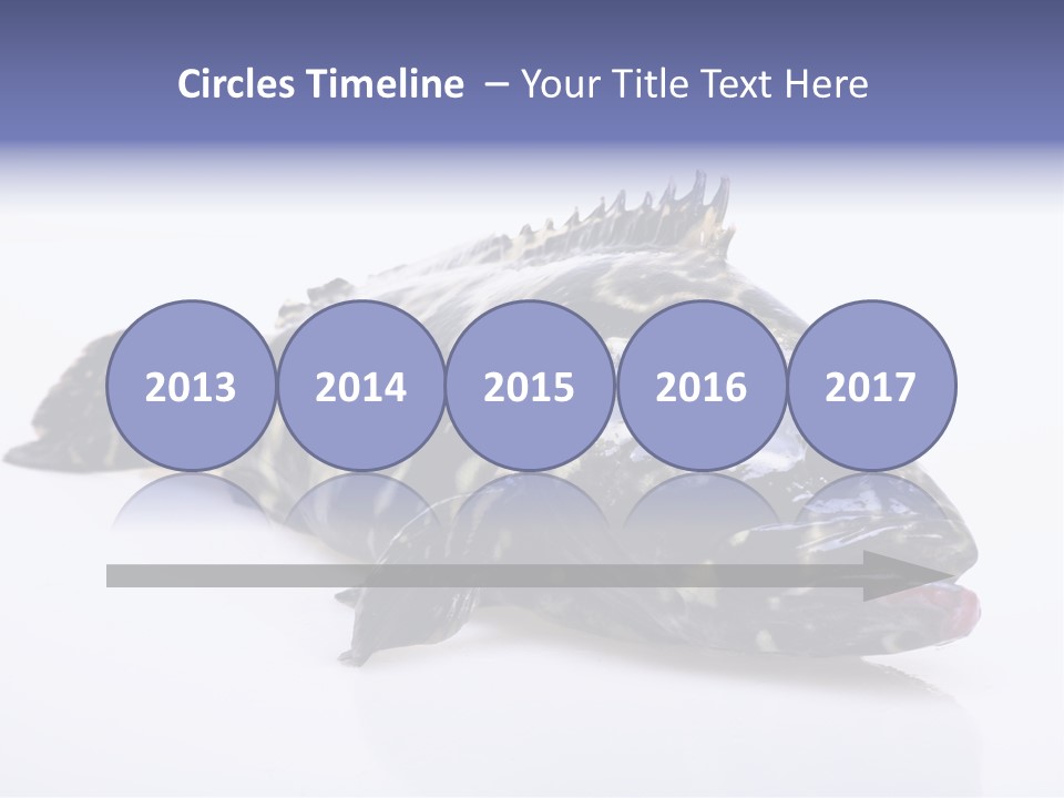 Sale Sell Gill PowerPoint Template