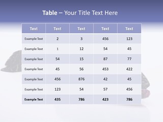 Sale Sell Gill PowerPoint Template