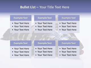 Sale Sell Gill PowerPoint Template