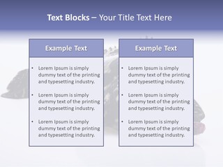 Sale Sell Gill PowerPoint Template