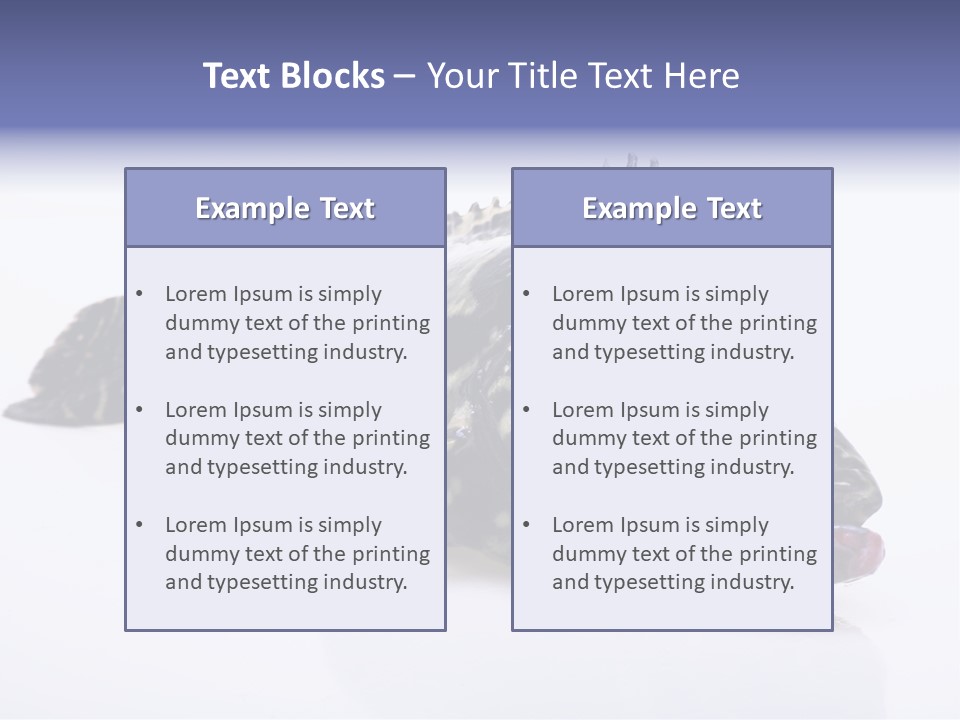Sale Sell Gill PowerPoint Template