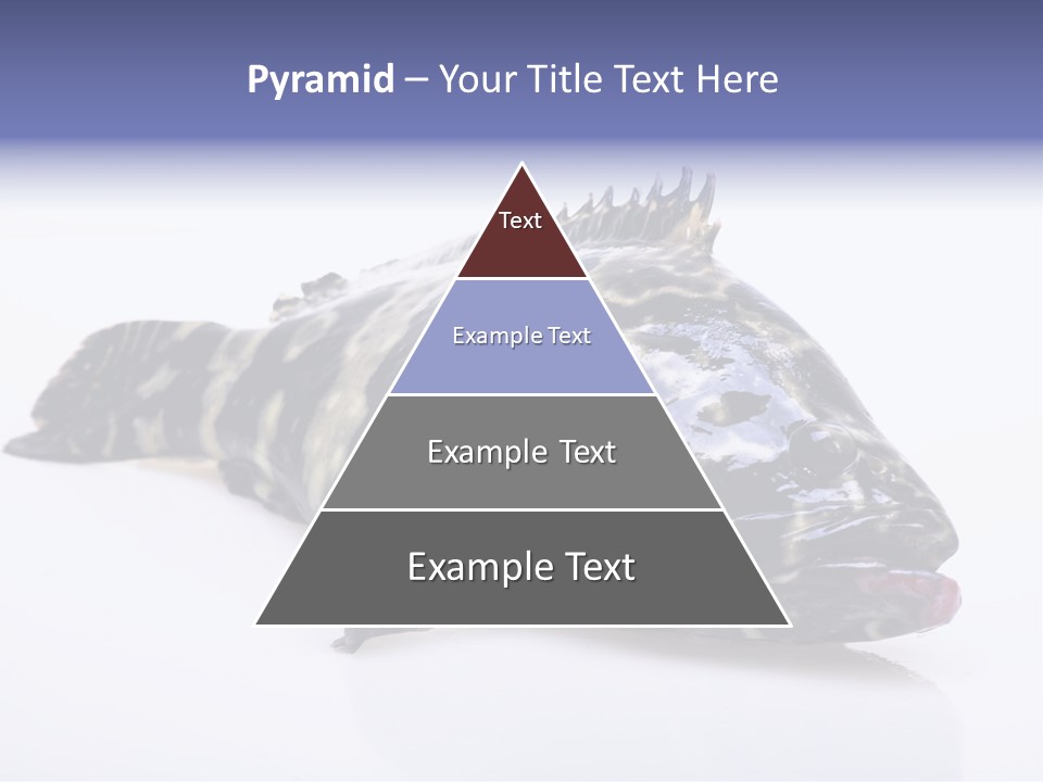Sale Sell Gill PowerPoint Template