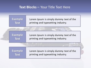Sale Sell Gill PowerPoint Template