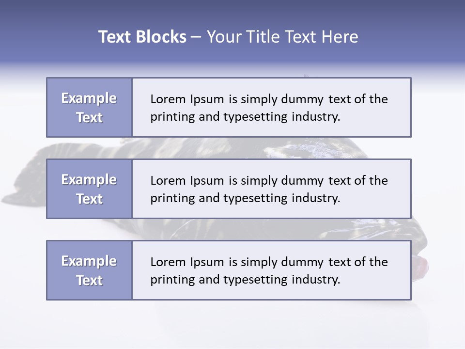 Sale Sell Gill PowerPoint Template