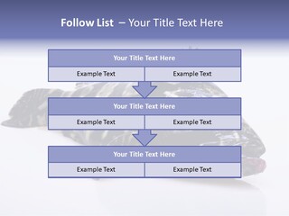 Sale Sell Gill PowerPoint Template