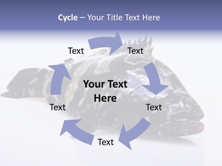 Sale Sell Gill PowerPoint Template