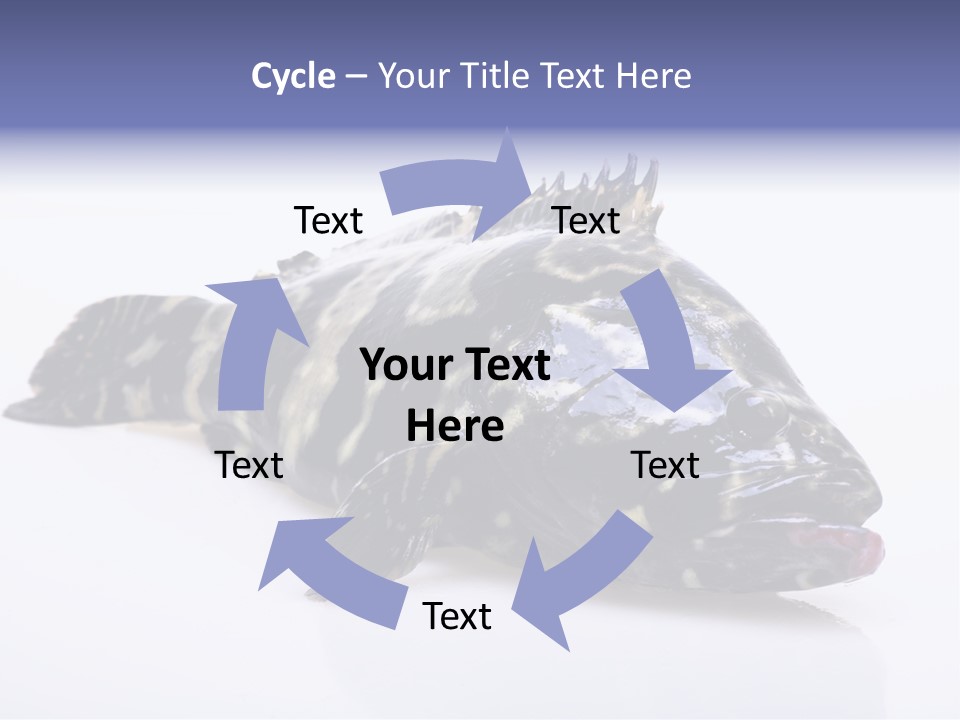 Sale Sell Gill PowerPoint Template
