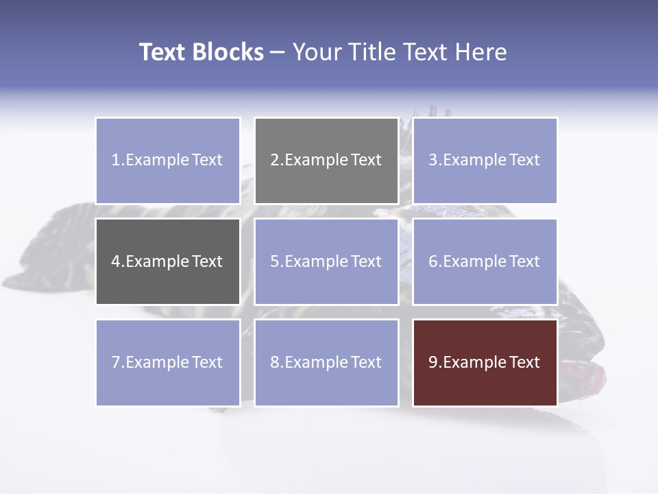Sale Sell Gill PowerPoint Template