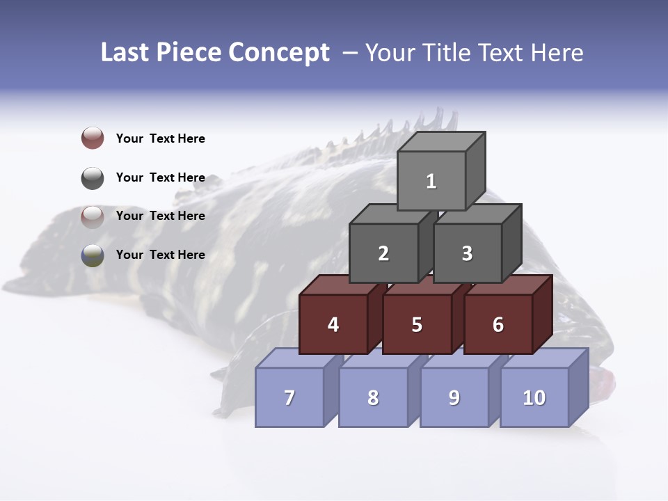 Sale Sell Gill PowerPoint Template