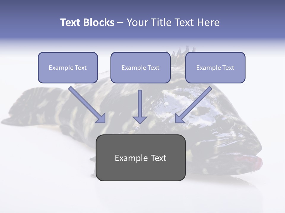Sale Sell Gill PowerPoint Template