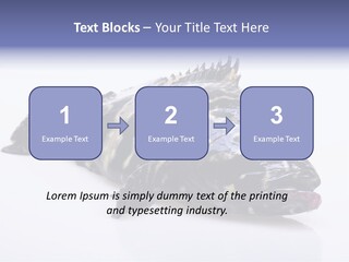 Sale Sell Gill PowerPoint Template